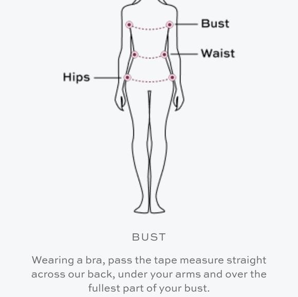 Hill House Addie Dress Red Shell Vine Stripe Cotton Sateen M Apron NWT - Picture 8 of 15